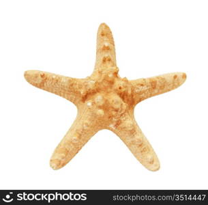 one yellow starfish isolated on white background