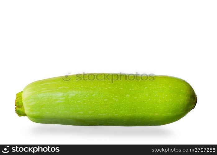 one young zucchini on a white background