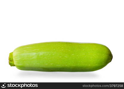 one young zucchini on a white background