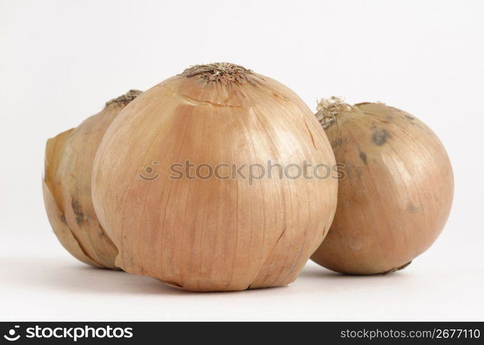 Onion