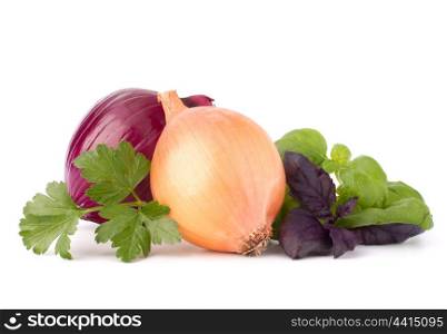 Onion and aroma herb leaves still life isolated on white background cutout