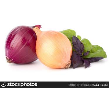 Onion and basil leaves still life isolated on white background cutout