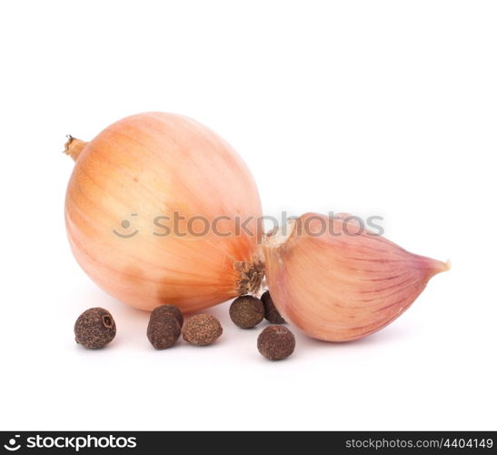 Onion and garlic clove isolated on white background