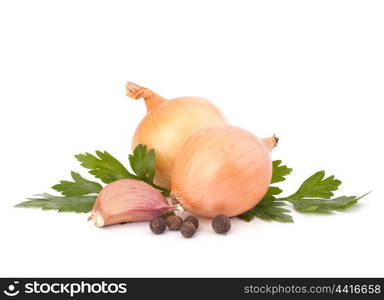 Onion and garlic clove isolated on white background