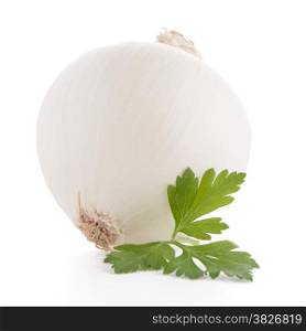 Onion and parsley isolated on white background.
