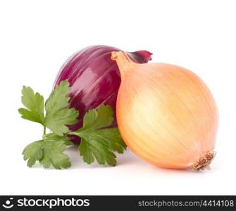 Onion and parsley leaves still life isolated on white background cutout