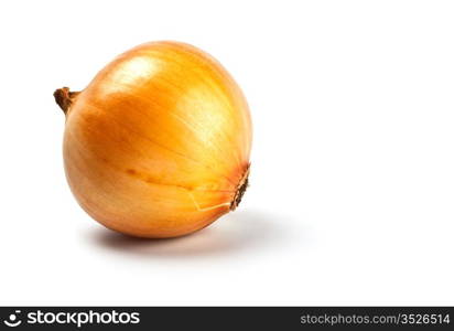 onion in peel isolated on white with shadow