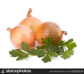 Onion isolated on white background