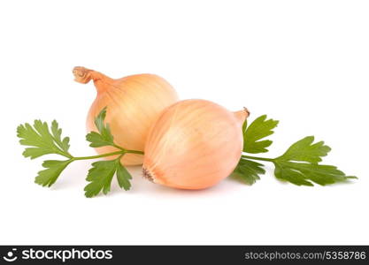 Onion isolated on white background