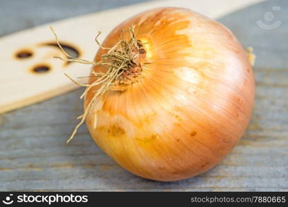 onion on a plank