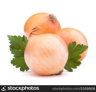 Onion vegetable bulb and parsley leaves still life isolated on white background cutout