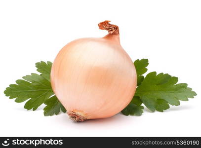 Onion vegetable bulb and parsley leaves still life isolated on white background cutout