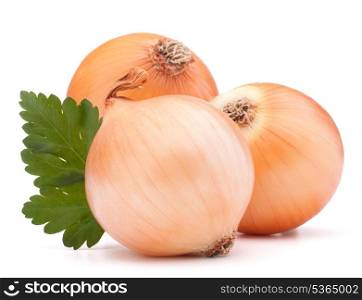 Onion vegetable bulb and parsley leaves still life isolated on white background cutout