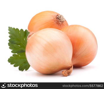 Onion vegetable bulb and parsley leaves still life isolated on white background cutout