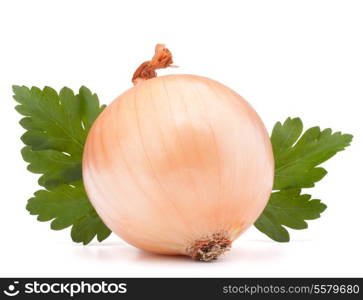 Onion vegetable bulb and parsley leaves still life isolated on white background cutout