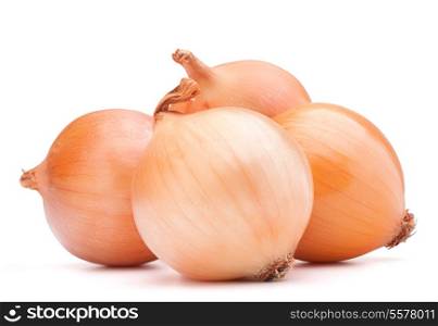 Onion vegetable bulbs isolated on white background cutout