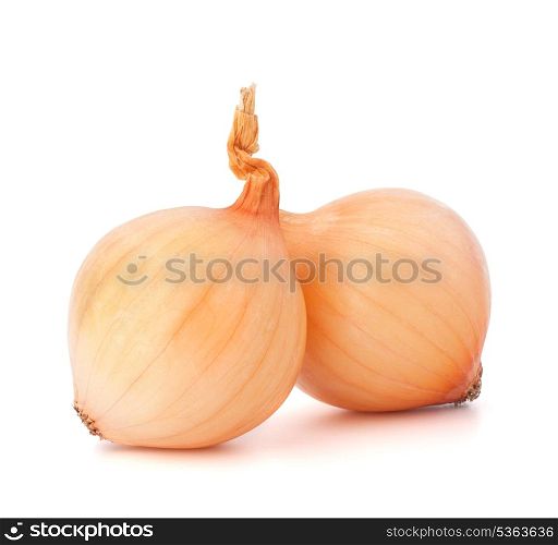 Onion vegetable bulbs on white background cutout