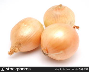 onions on a white background