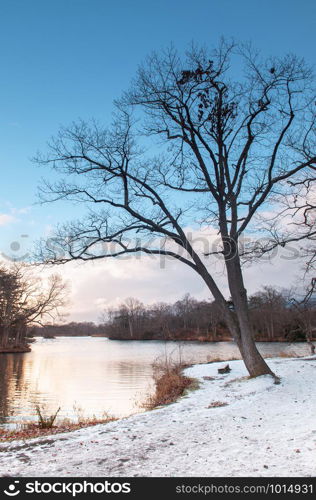 Onuma Koen Quasi -National park lake nature trail in peaceful cold winter with snow. Hakodate, Hokkaido - Japan.