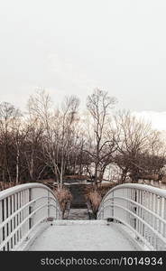 Onuma Koen Quasi -National park nature trail bridge in peaceful cold winter with dried leafless tree. Hakodate, Hokkaido - Japan.