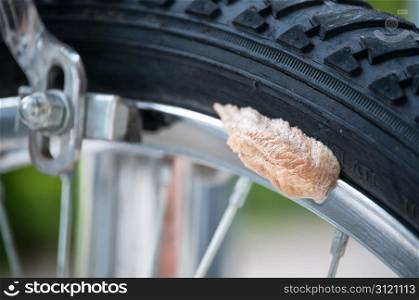 Ootheca or egg container from a female Praying Mantis on the inside of a bicycle wheel.