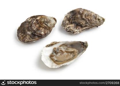 Open and closed fresh raw oysters in on white background