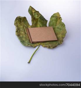 Open blank notebook on fallen autumn leaves on a black background