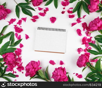 open blank notebook with white sheets and blooming red peonies with green leaves, top view, white background