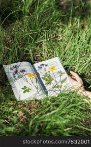 Open book pages on green grass. Reading a book outdoors