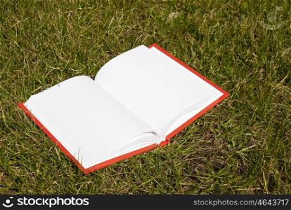 Open book with white pages laying at the grass