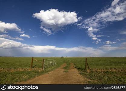 Open farm gate and dirt track that lead to a windmill South Africa