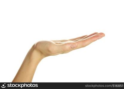 open female hand isolated on a white background