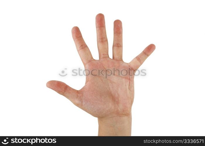 Open hand over white background. Isolated image
