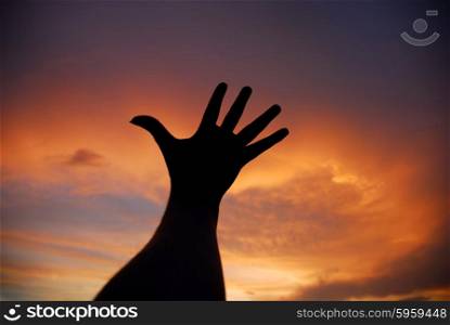 open human hand in the sunset colors