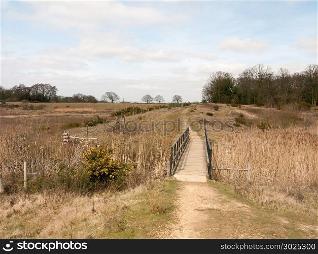 open landscape scene nature reserve with wooden foot bridge fields; essex; england; uk
