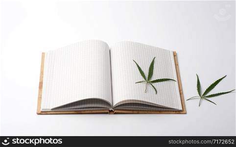 open notebook with blank white sheets and green hemp leaf, white background
