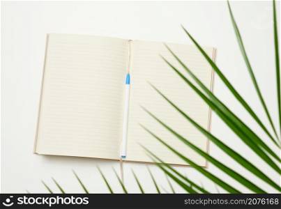 open notebook with blank white sheets on a white background, top view