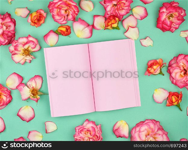 open notebook with pink blank pages on a green background and petals of a pink roses , top view