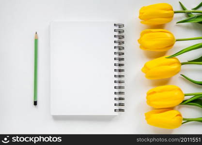 open notepad, pencil and yellow tulips on a white background. open notepad, pencil and yellow tulips