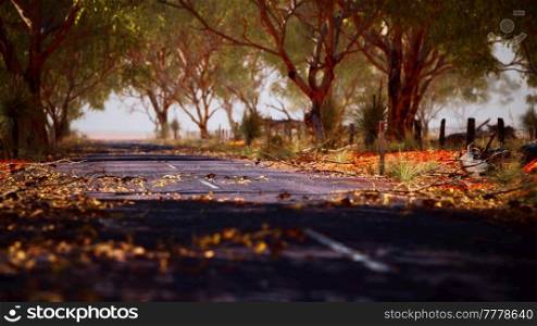 open road in Australia with bush trees
