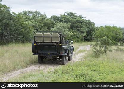 open safari in south africa nature with trees and high grass