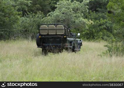 open safari in south africa nature with trees and high grass