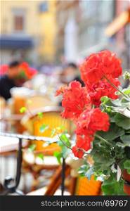 Open terrace of restaurant in Stockholm, Sweden. Focus on the geranium flowers