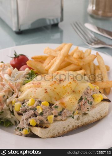 Open Tuna and Sweet corn Melt with Coleslaw and Fries