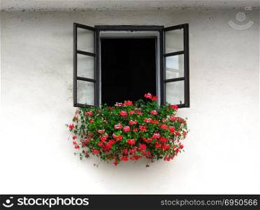 Open window decorated with beautiful bright geranium flowers on white wall of stone building