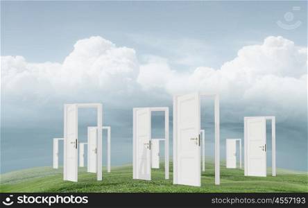 Opened doors in field. Conceptual image with opened doors as new way entrance to new world