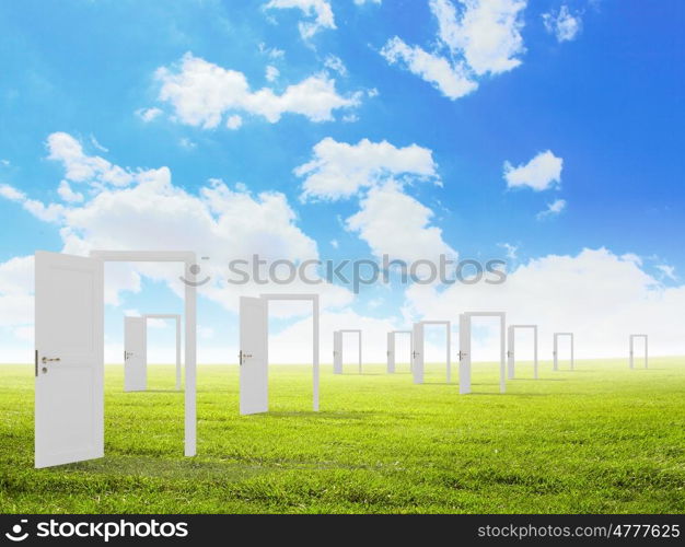 Opened doors in field. Conceptual image with opened doors as new way entrance to new world