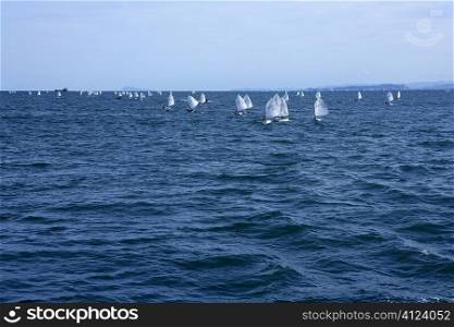 Optimist, recreation little sailboat silgle sailor training regatta, Spain