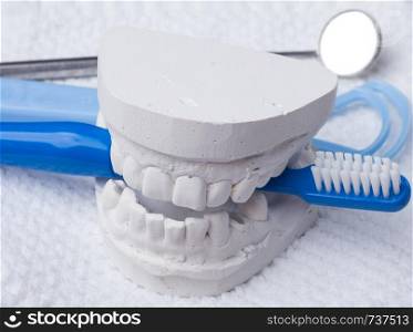 Oral hygiene health concept. Closeup blue toothbrush mirror and tongue cleaner with dental gypsum model
