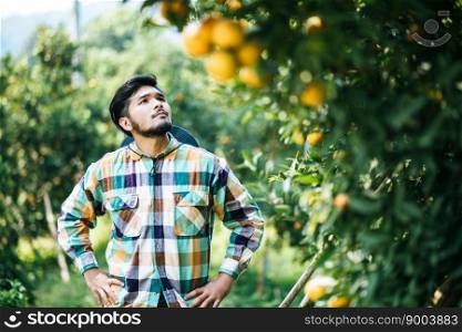 oran≥tree field ma≤farmer harvestπcking oran≥fruits